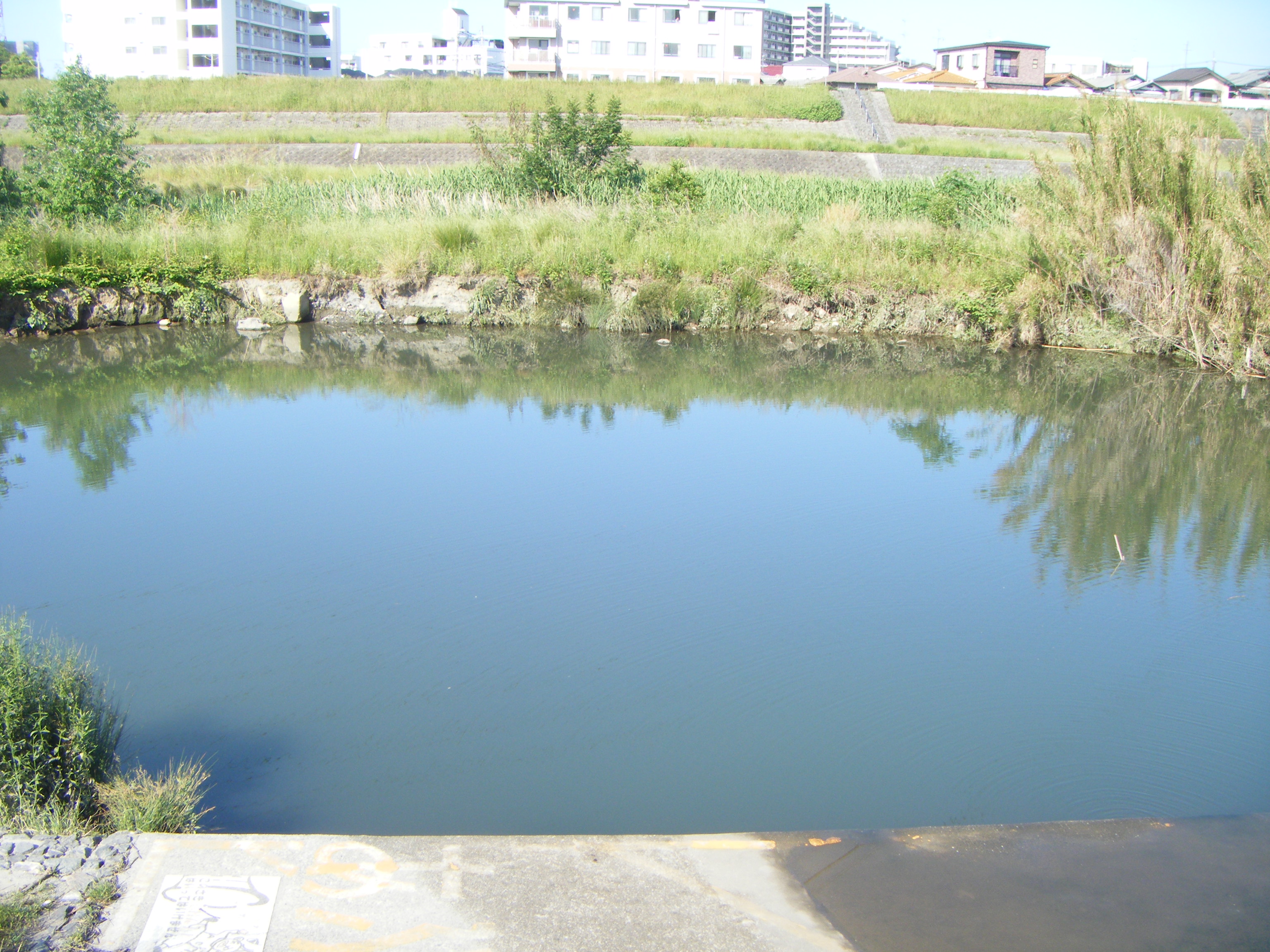 猪名川のバス釣り Norioの日記